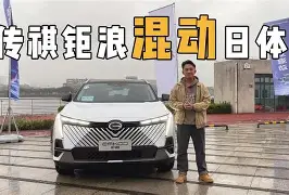 lgn一an00-九游体育下载